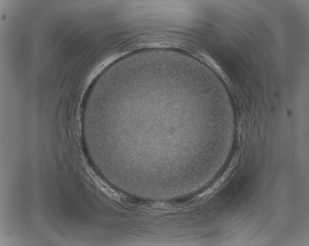 X0000067480787200604071138