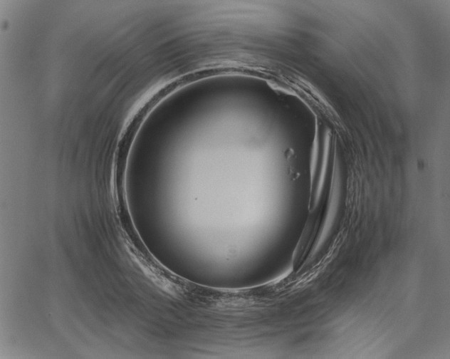 X0000067480788200604071138