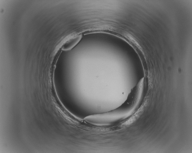 X0000067480789200604071138