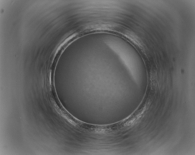 X0000067480790200604071137