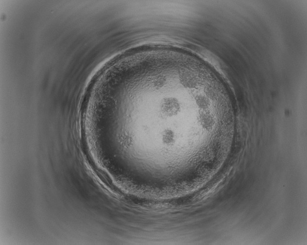 X0000067480791200604071137