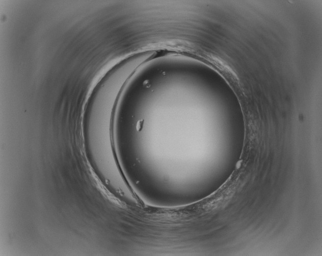 X0000067480792200604071137