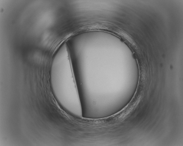 X0000067480793200604071137