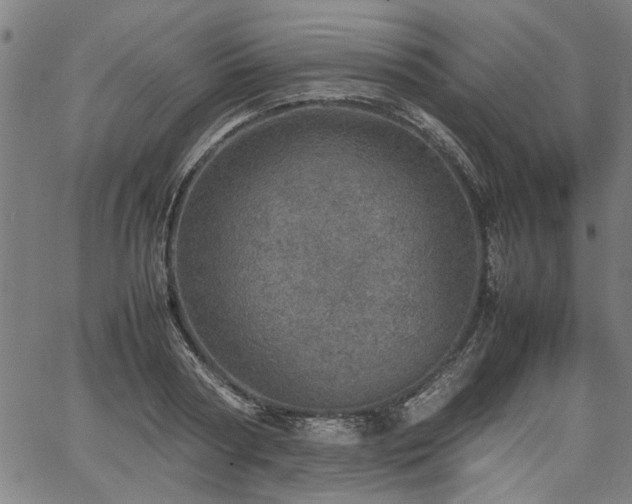 X0000067480794200604071137