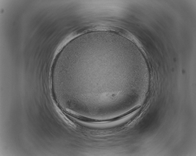 X0000067480795200604071137