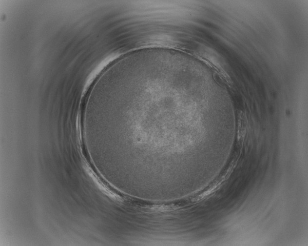 X0000067480796200604071137