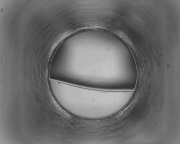 X0000067480797200604071137