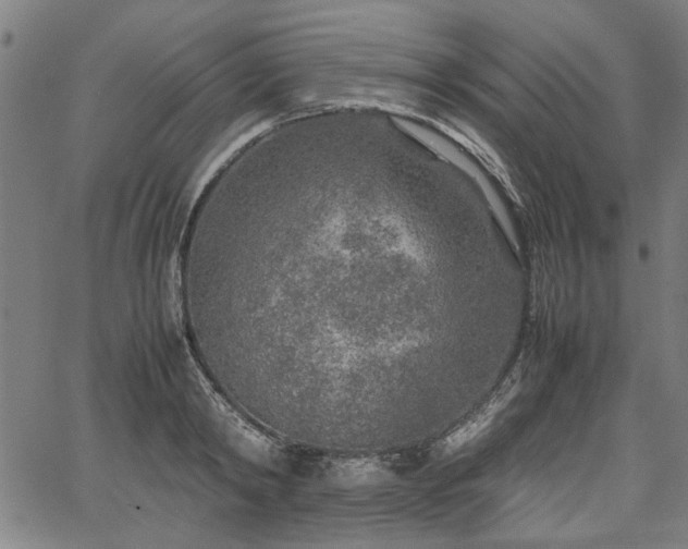 X0000067480798200604071137