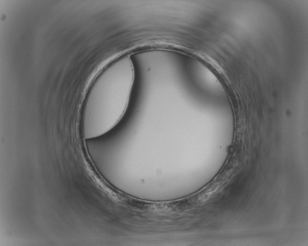 X0000067480799200604071137