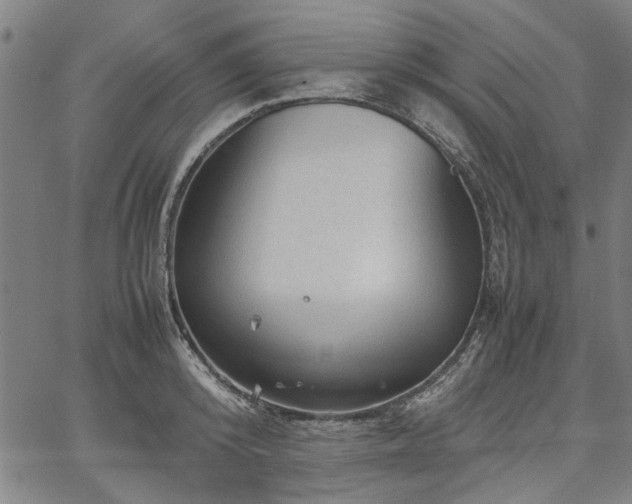 X0000067480800200604071137