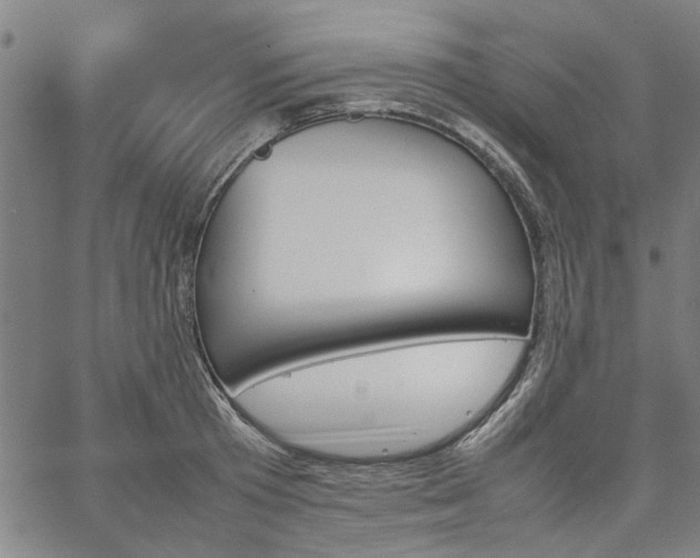 X0000067480801200604071137