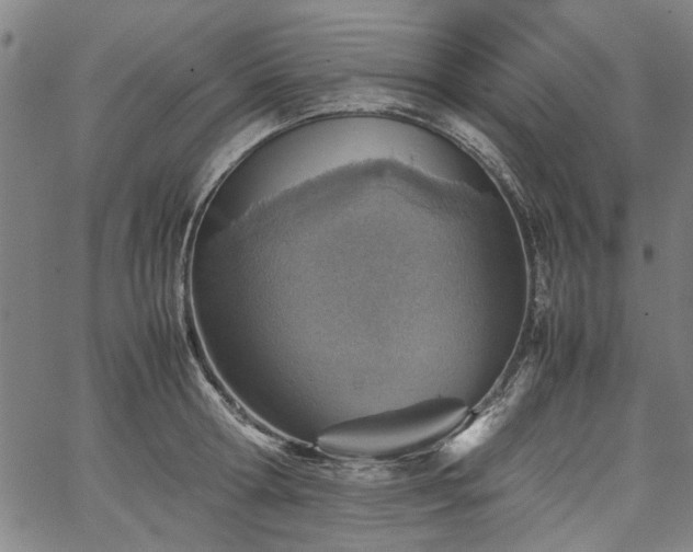 X0000067480802200604071137