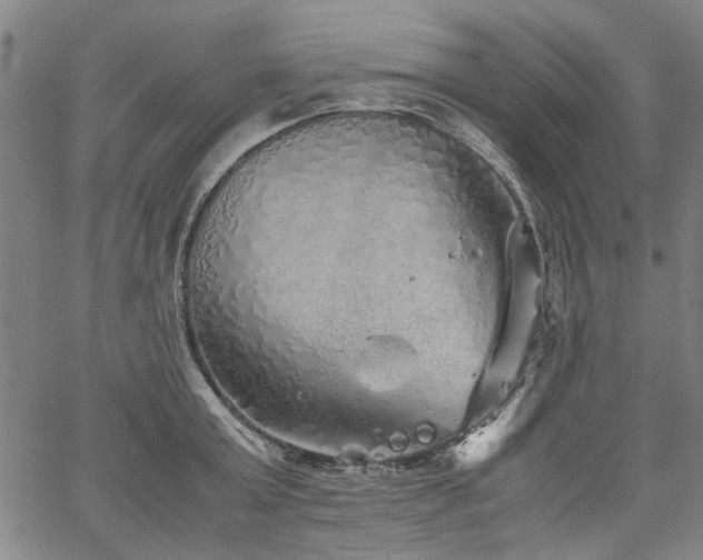 X0000067480803200604071137