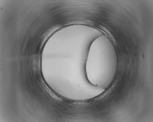 X0000067480804200604071137