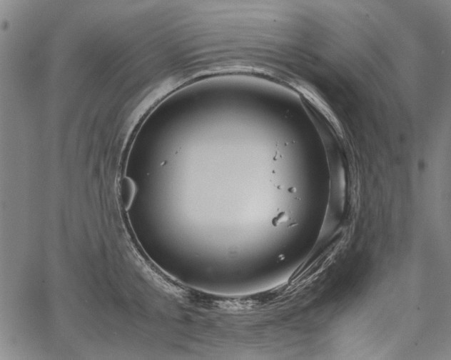 X0000067480805200604071137