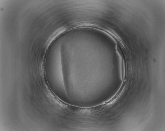 X0000067480806200604071137