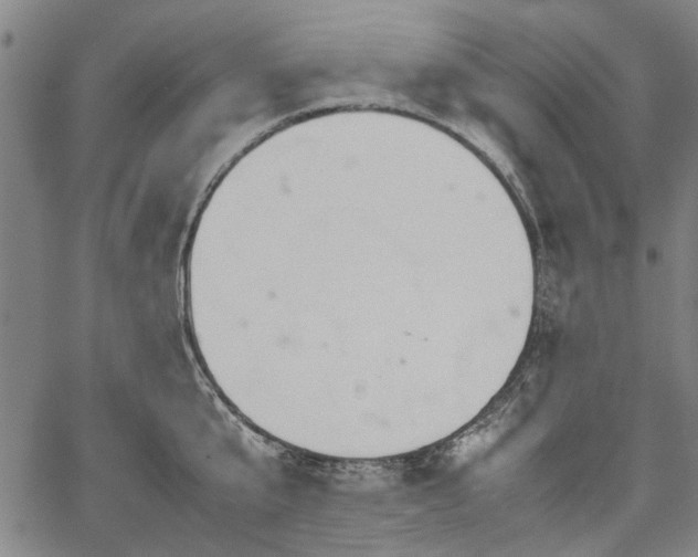 X0000067480807200604071137