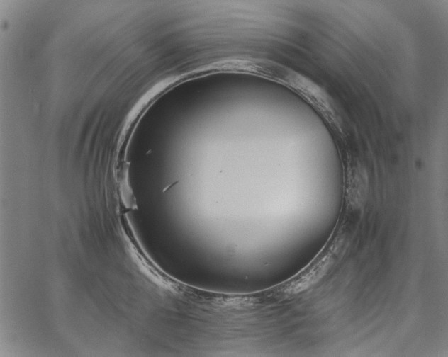 X0000067480808200604071137