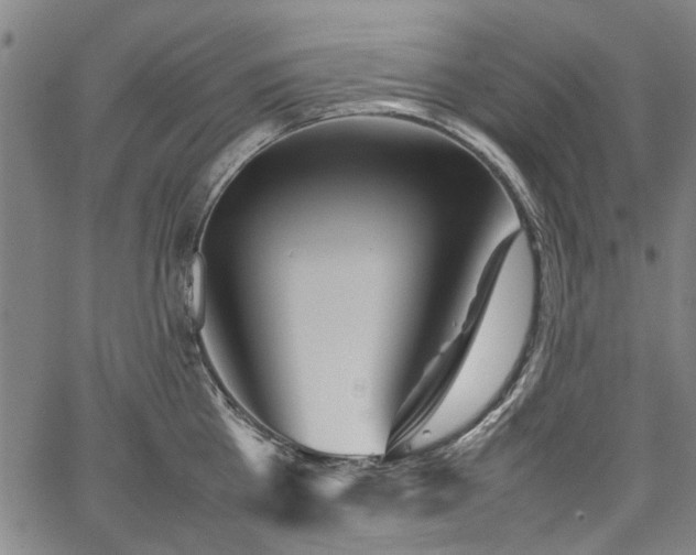 X0000067480809200604071137