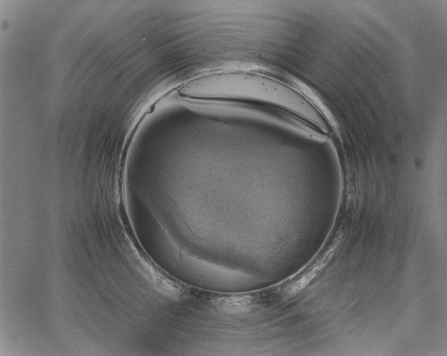 X0000067480810200604071137