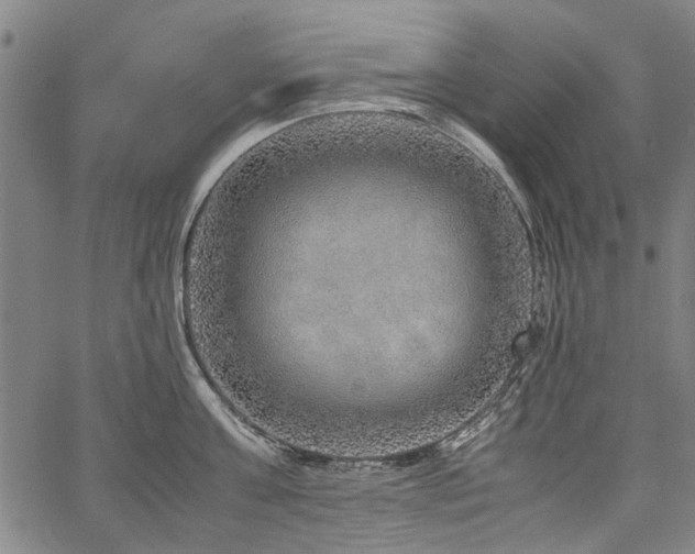 X0000067480811200604071137