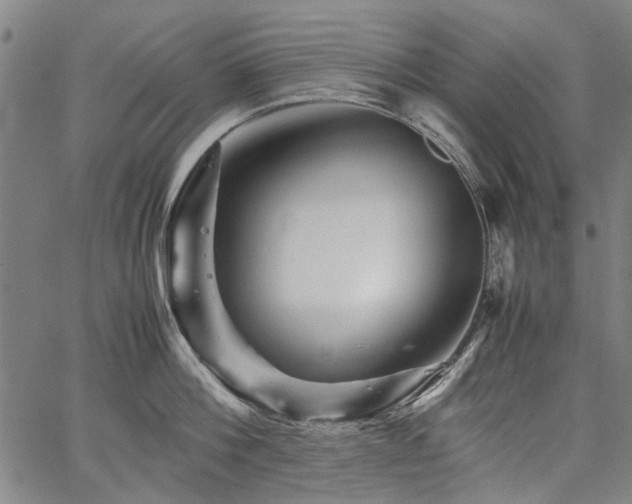 X0000067480812200604071137