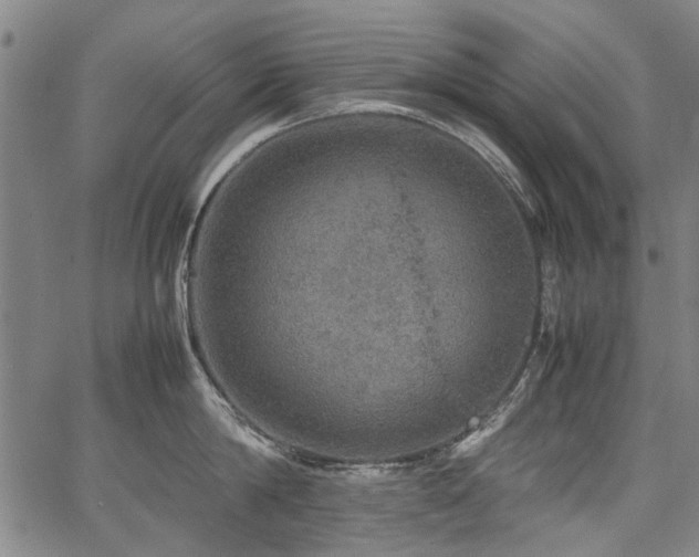 X0000067480814200604071137