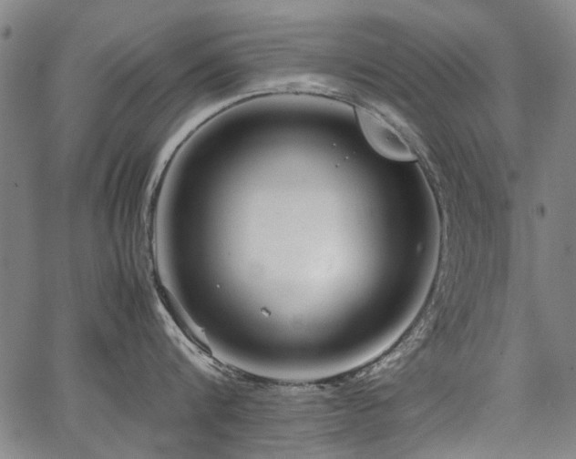 X0000067480816200604071137