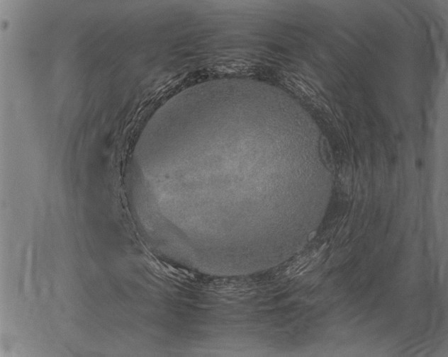 X0000067480817200604071136