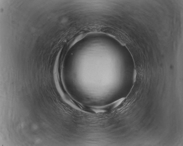 X0000067480818200604071136