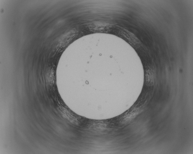 X0000067480820200604071136