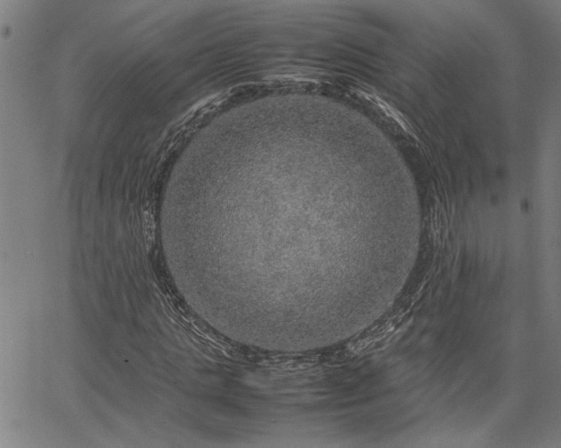 X0000067480821200604071136