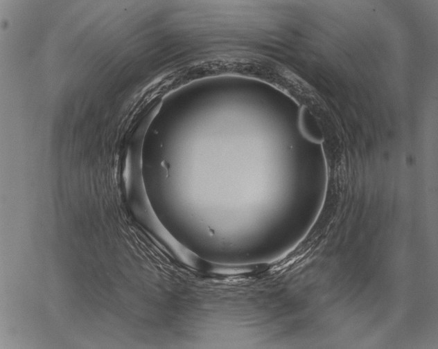 X0000067480822200604071136