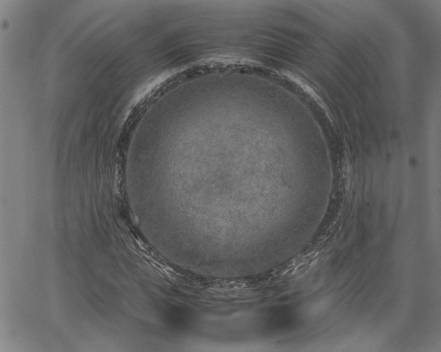 X0000067480823200604071136