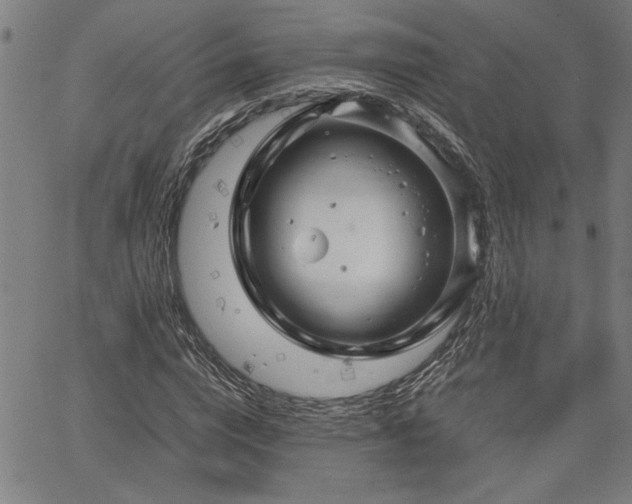 X0000067480824200604071136