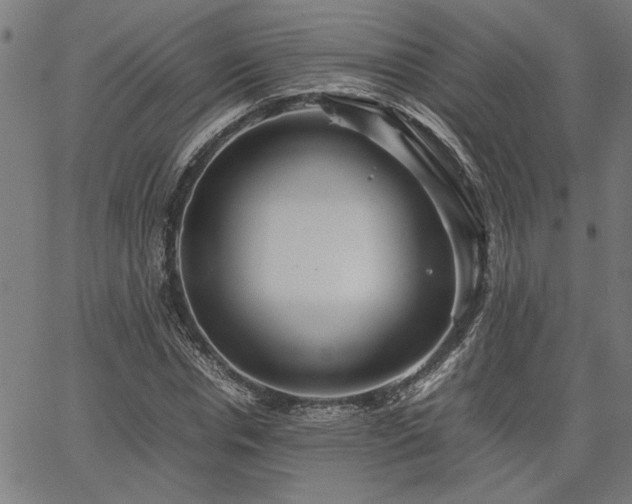 X0000067480826200604071136