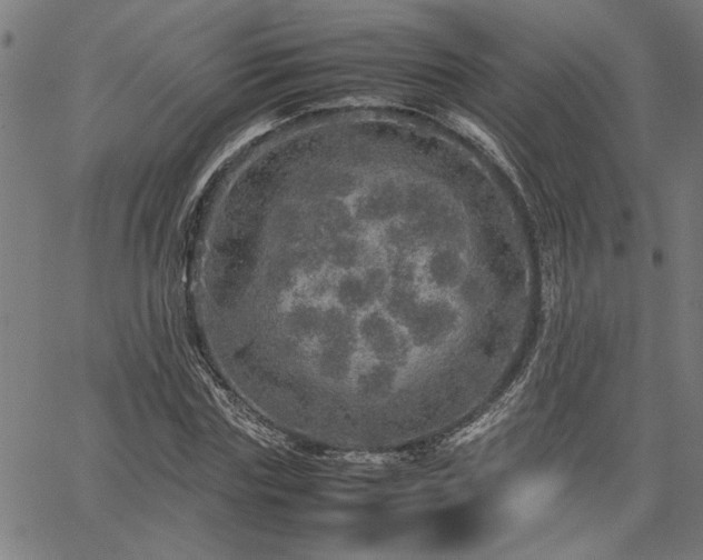 X0000067480827200604071136