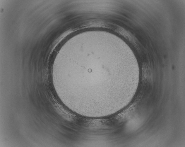 X0000067480828200604071136