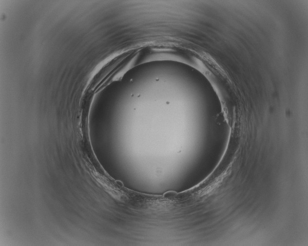 X0000067480830200604071136