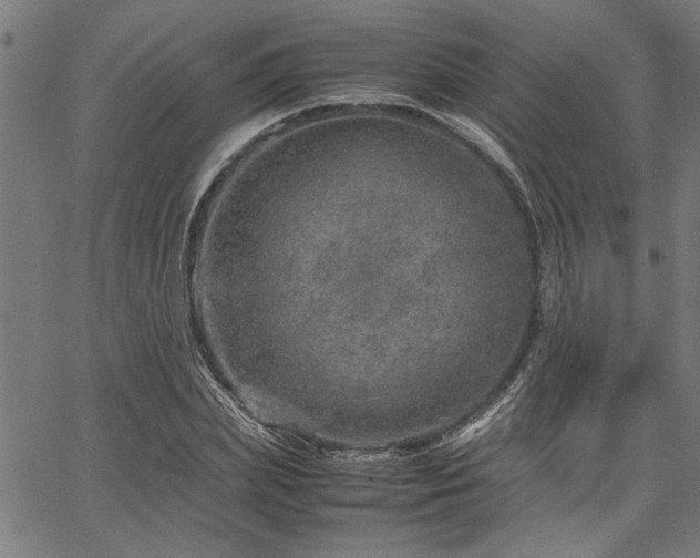 X0000067480831200604071136