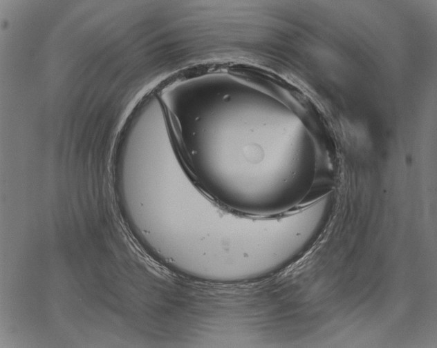 X0000067480832200604071137