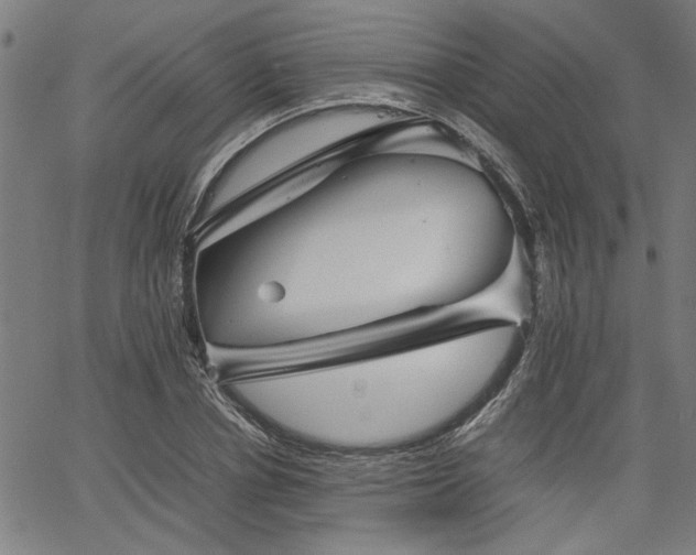 X0000067480834200604071137