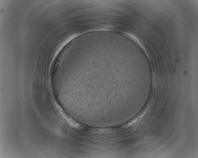 X0000067480835200604071137