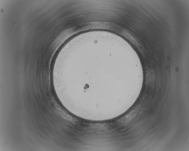 X0000067480836200604071137