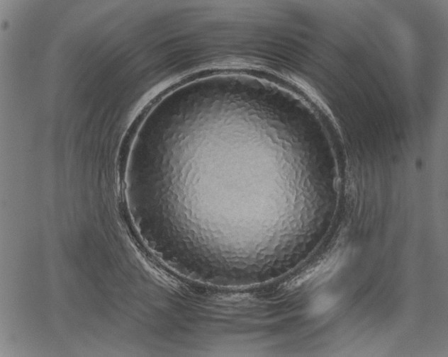 X0000067480837200604071137