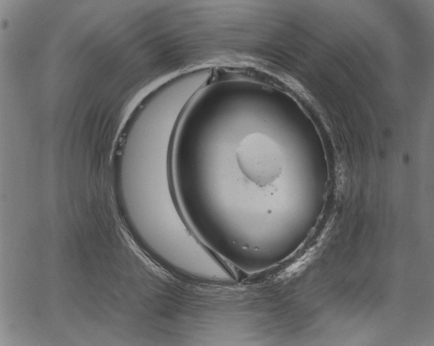 X0000067480838200604071137