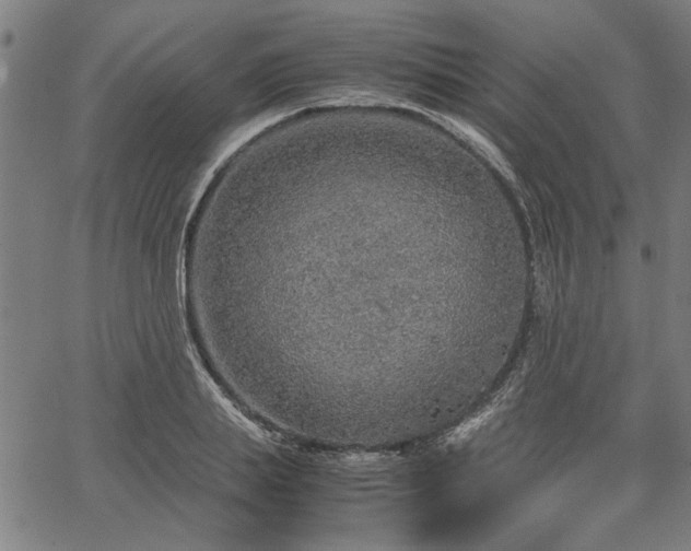 X0000067480839200604071137