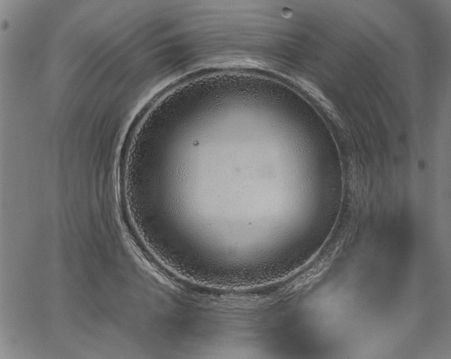 X0000067480840200604071137