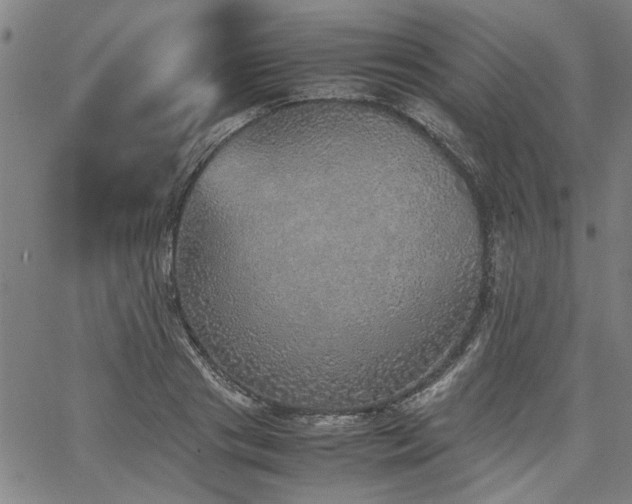 X0000067480841200604071137