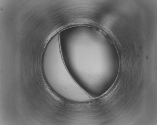 X0000067480842200604071137